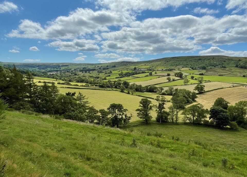 Looking across Danby dale