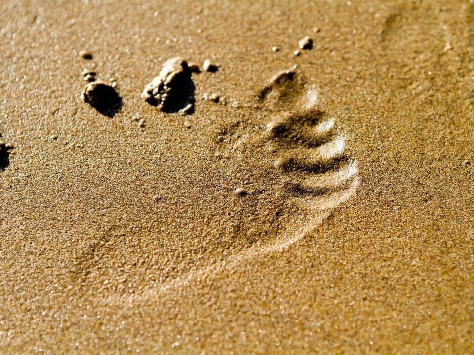 Some time out on the beach