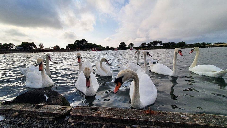 Marine Lake  -  0.6 miles away