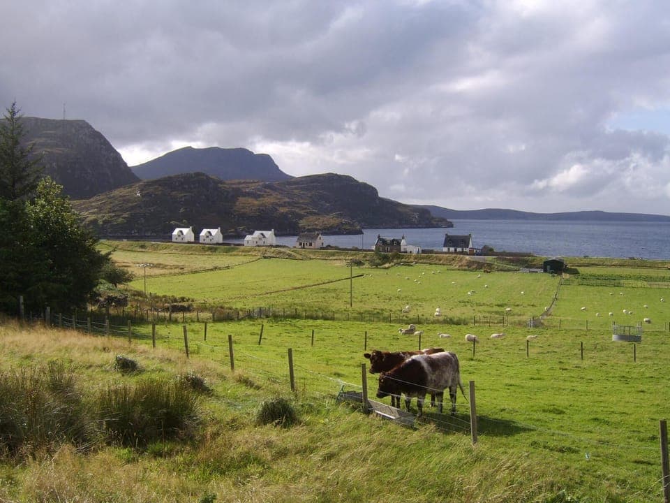 View from Top House Garden