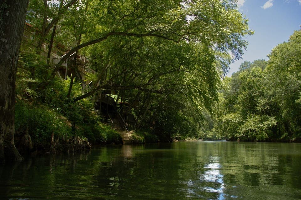 View of the cabin from the river!