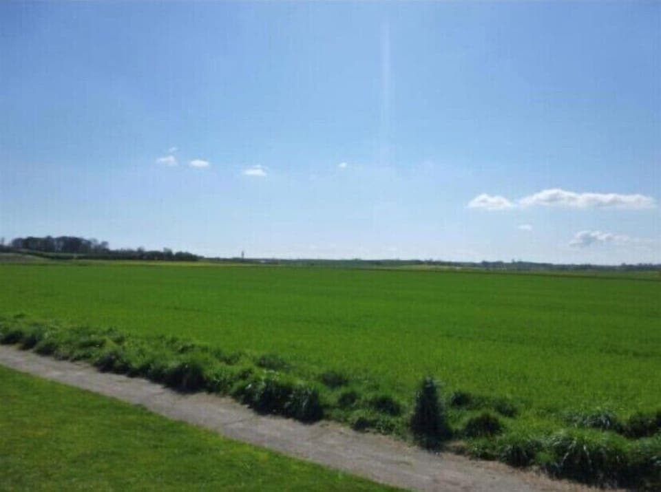 View from the property