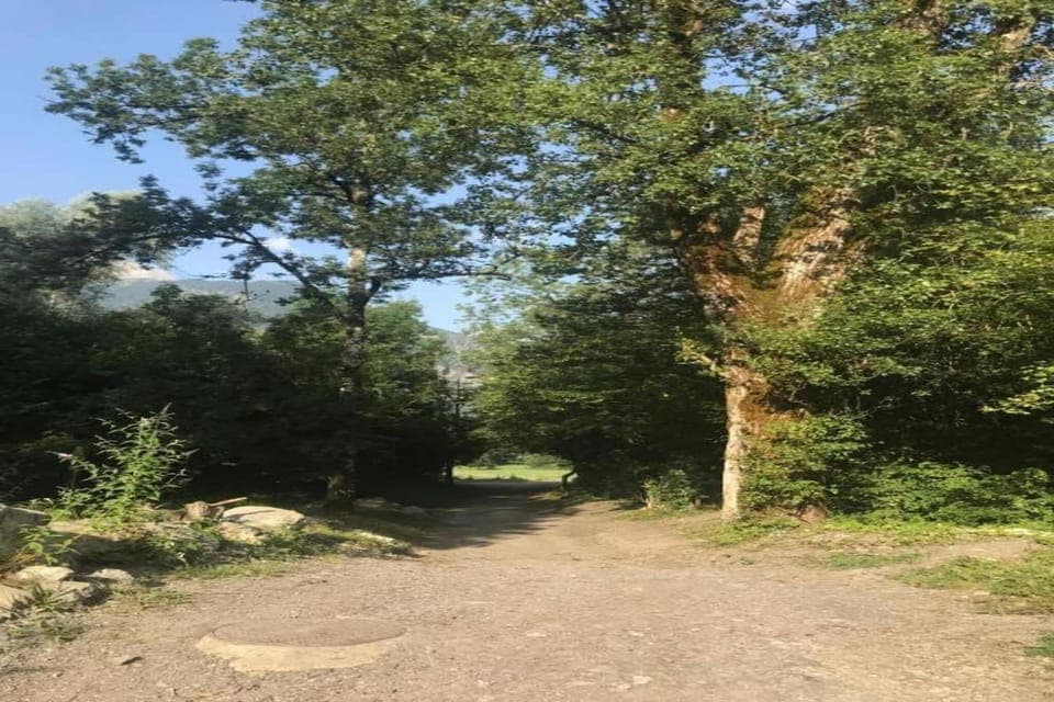 Region [summer] (>5 km)