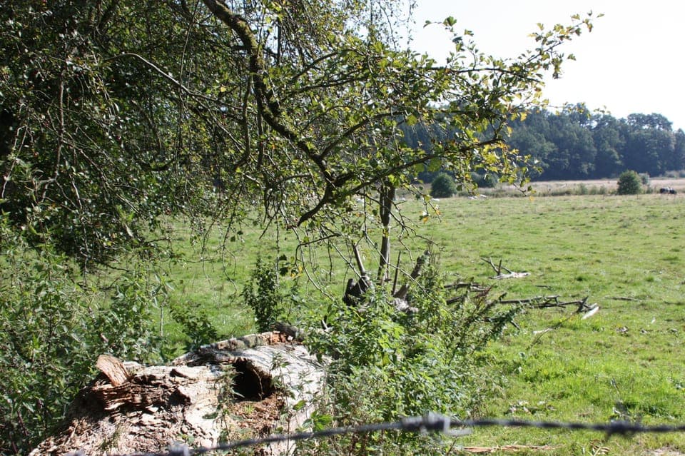 The Stag-Spotting - The Stag-Hut - In the vicinity