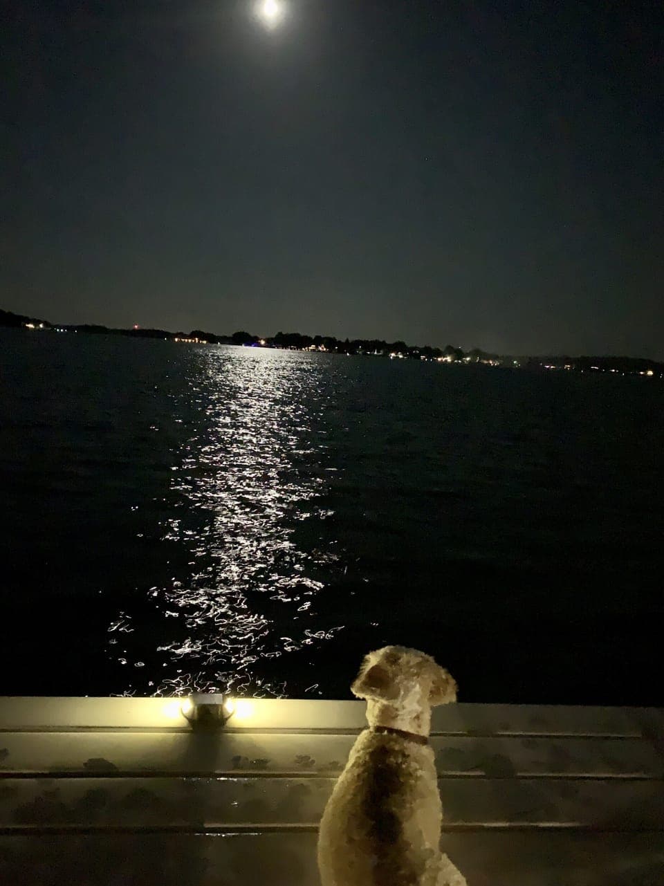 Summer night’s on the pier