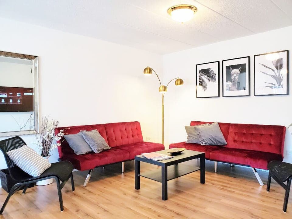 Living Room with 2 sofa beds and a 55" smart internet enabled Roku TV
