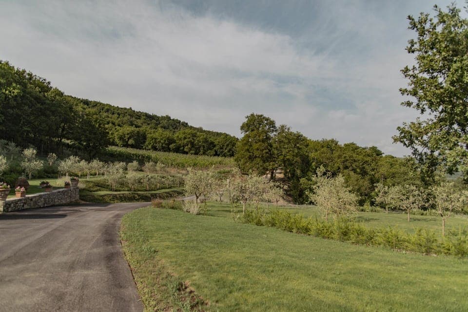 Plant, Land Lot, Shrub, Grassland, Rural Area, Garden, Meadow, Plantation, Prairie, Bench