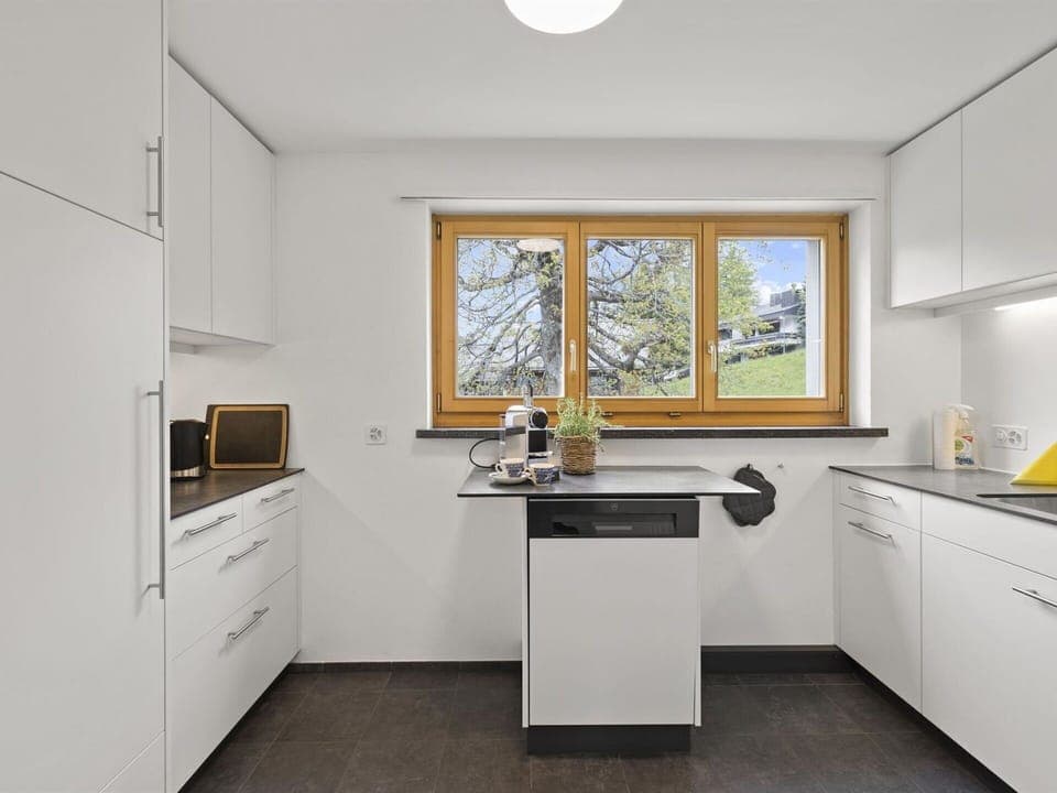 Cabinetry, Property, Window, Countertop, Sink, Kitchen Sink, Kitchen, Wood, Interior Design, Tap