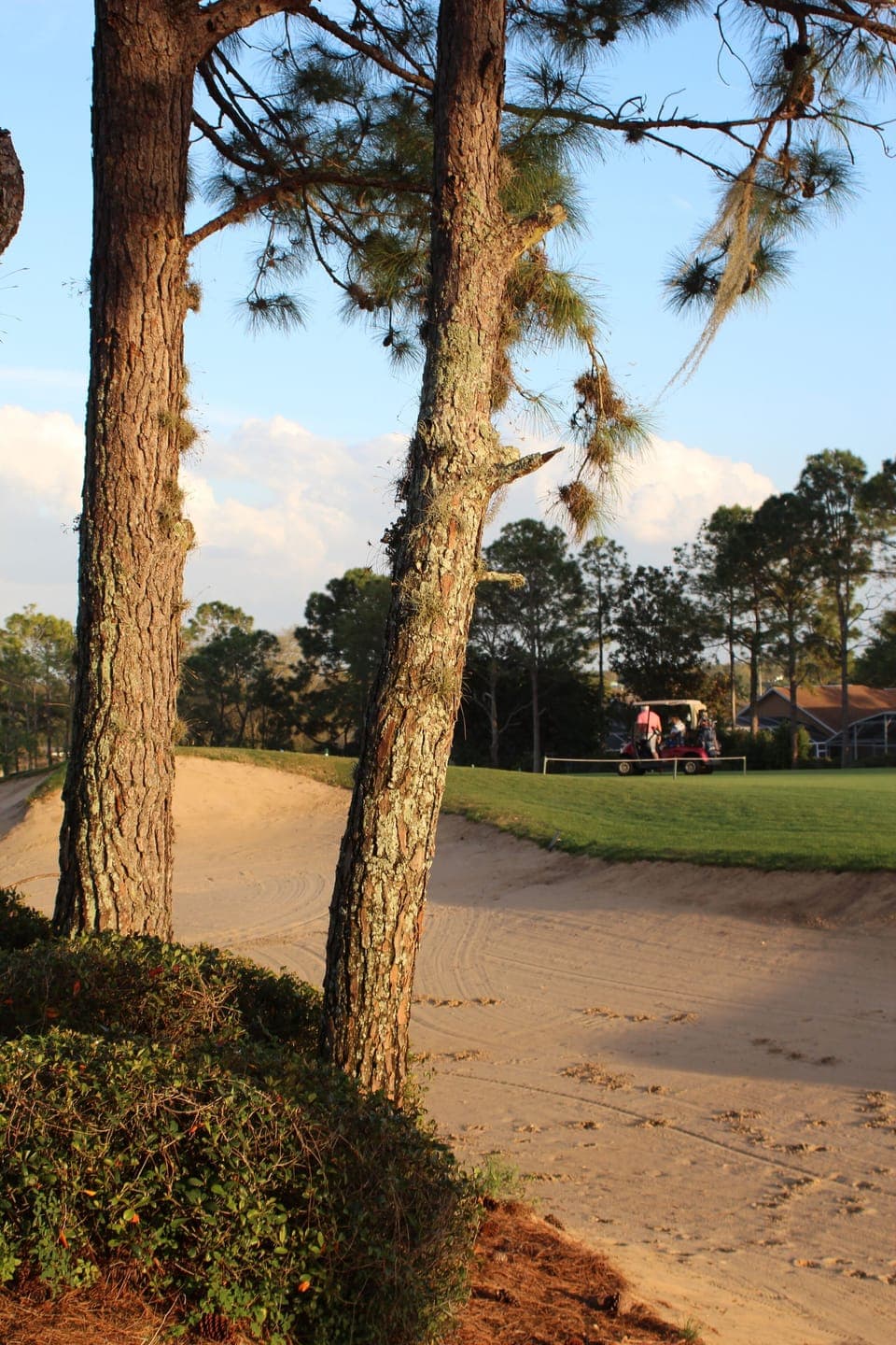 Golf