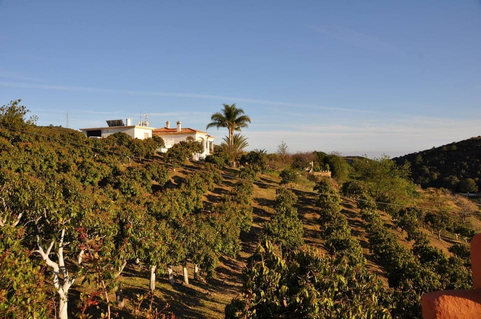 View from roof terrace