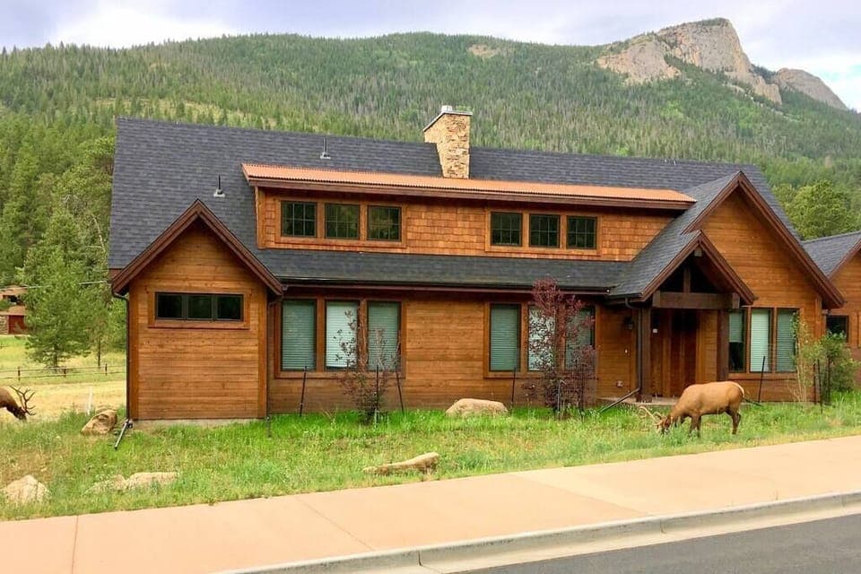 Elk visits