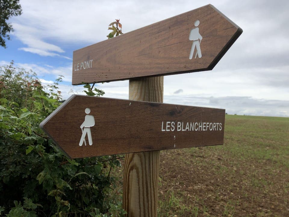 Waymarked tracks for walking and cycling 