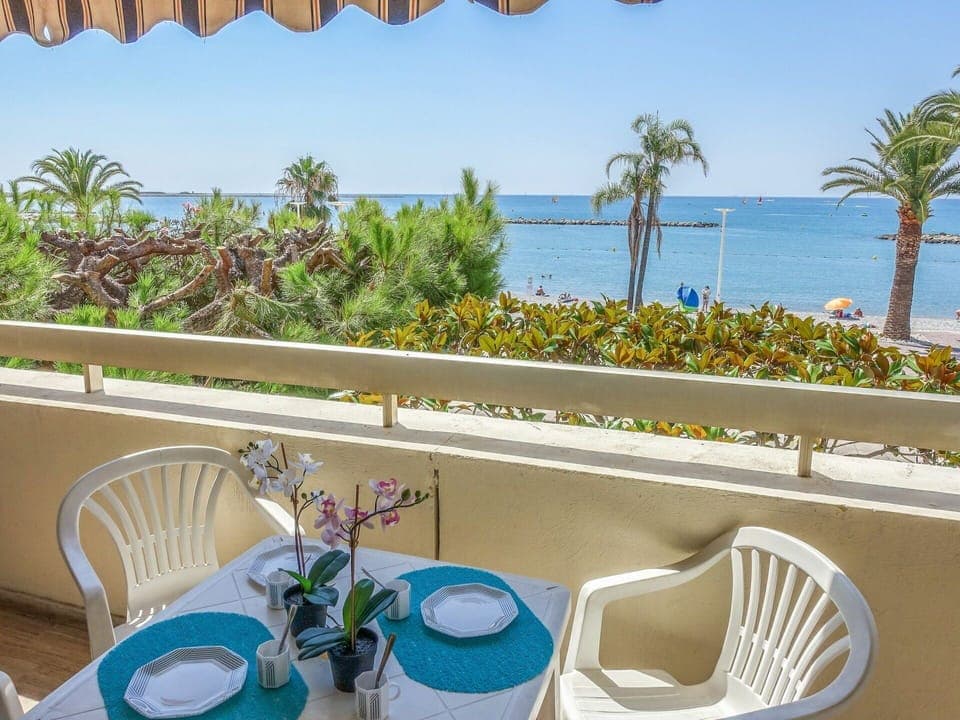 Water, Plant, Furniture, Property, Daytime, Sky, Table, Botany, Light, Green