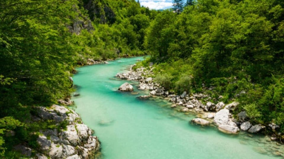 Enjoy kayaking thru many diverse natural surroundings nearby!
