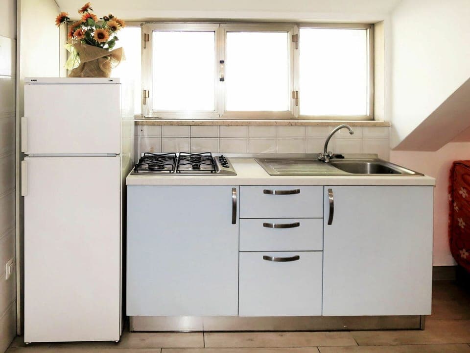 Countertop, Cabinetry, Kitchen Sink, Sink, White, Plant, Building, Kitchen, Window, Tap