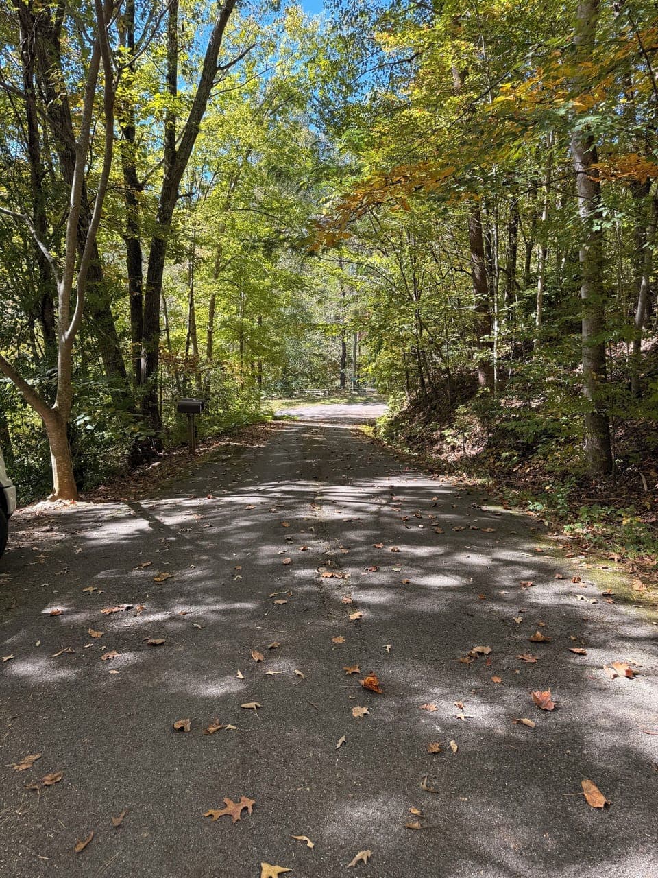 Road incline to cottage
