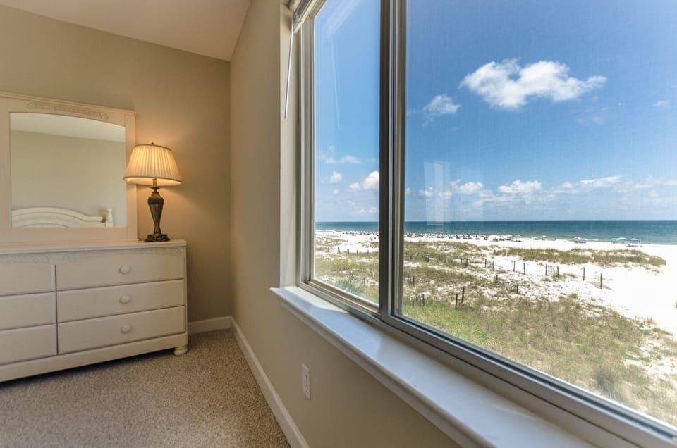 Master bedroom window 