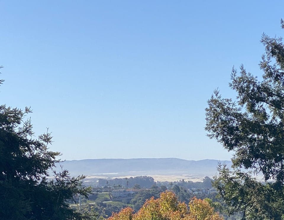 View from Back Patio