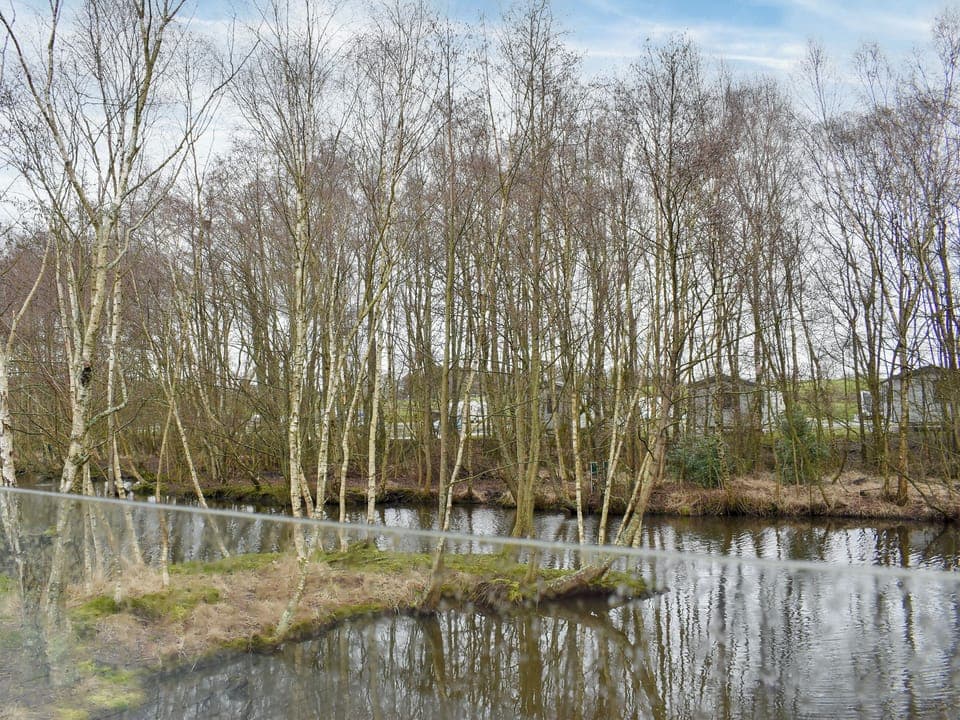 View | Lakeview Lodge, Landford, near Salisbury