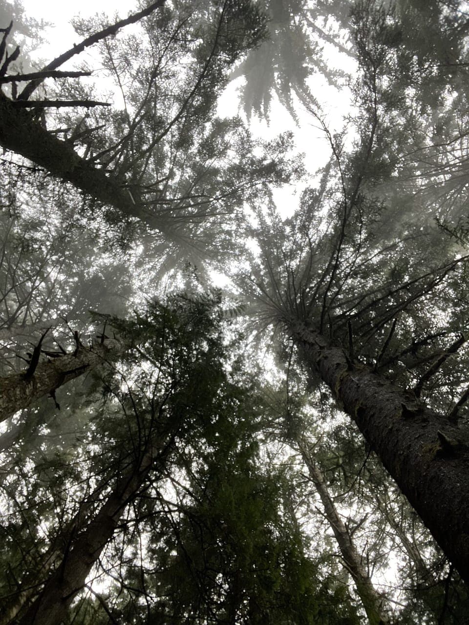 It's beautiful here!