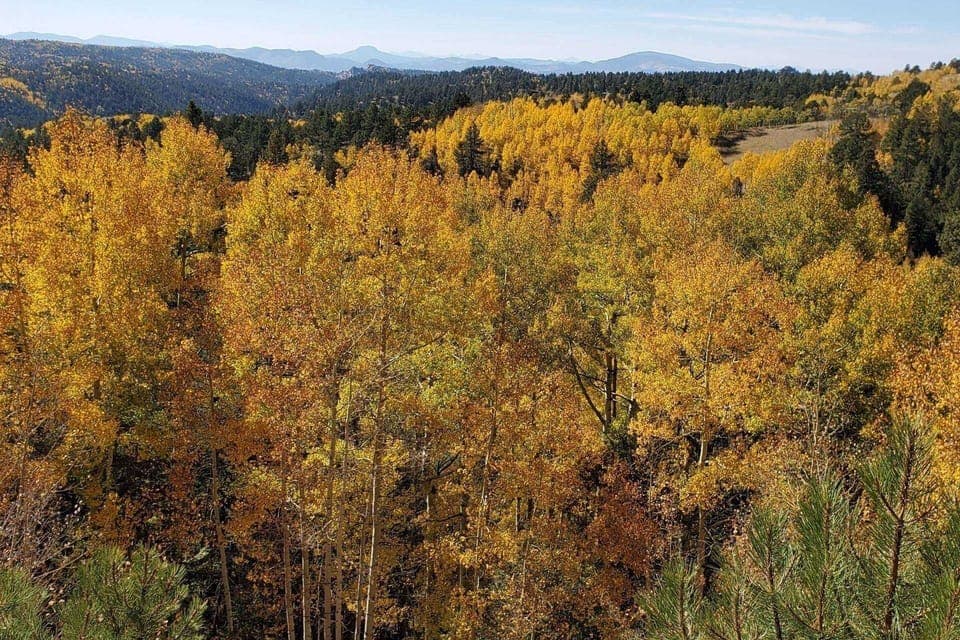 Fall Time at Aspen Grove Lodge