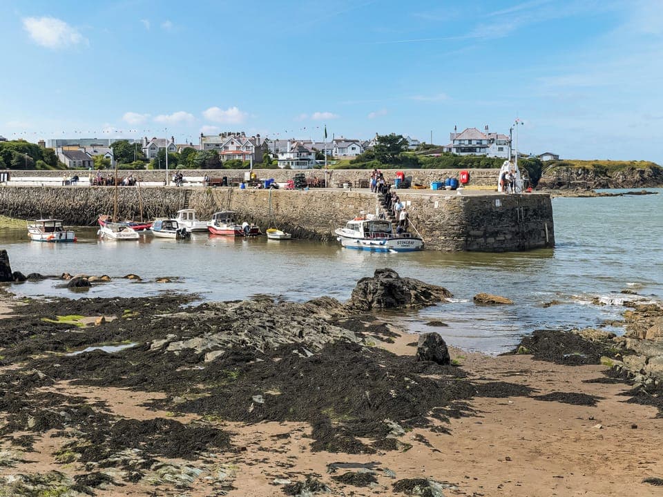 Waiting for a boat trip | Harbour View, Cemaes Bay