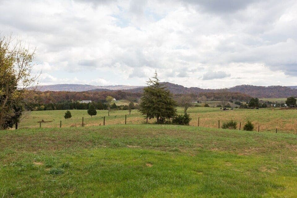Backyard farm views