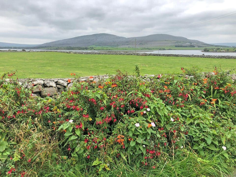 Serene Countryside, The Burren, County Galway
