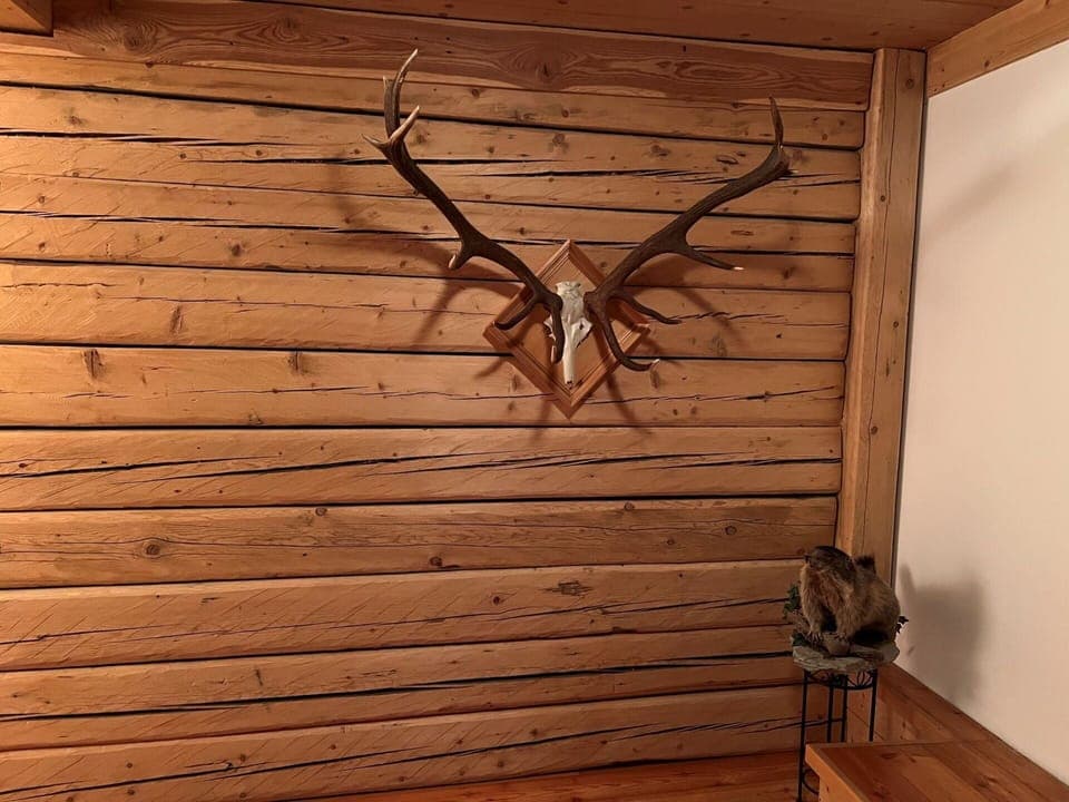 Brown, Wood, Wood Stain, Twig, Floor, Wall, Natural Material, Hardwood, Plank