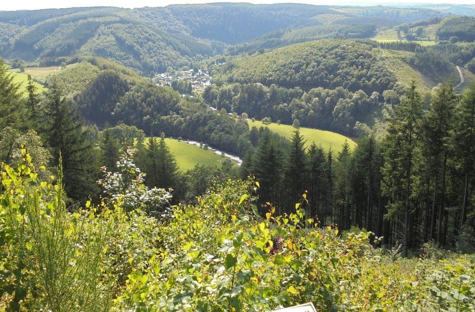 Region [summer] (>5 km)