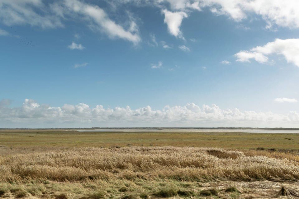 Surroundings [summer] (1-5 km)