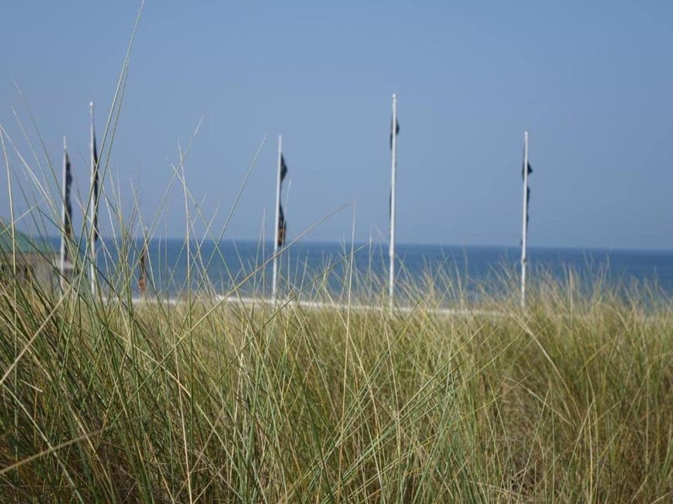 Region [summer] (>5 km)