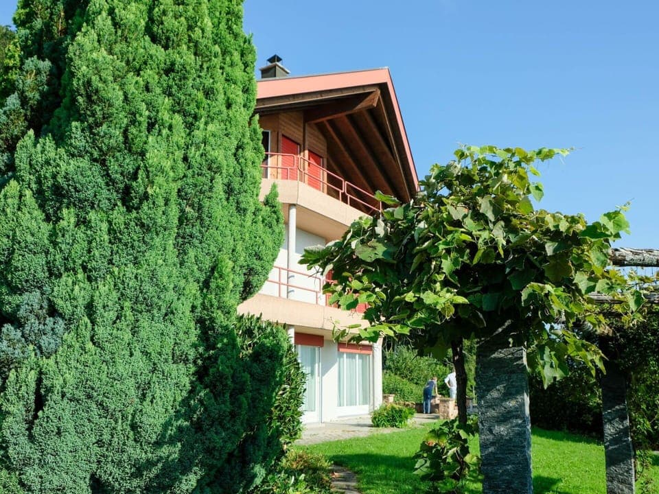 Plant, Sky, Property, Building, Tree, Grass, Cottage, Shrub, Evergreen, Landscape