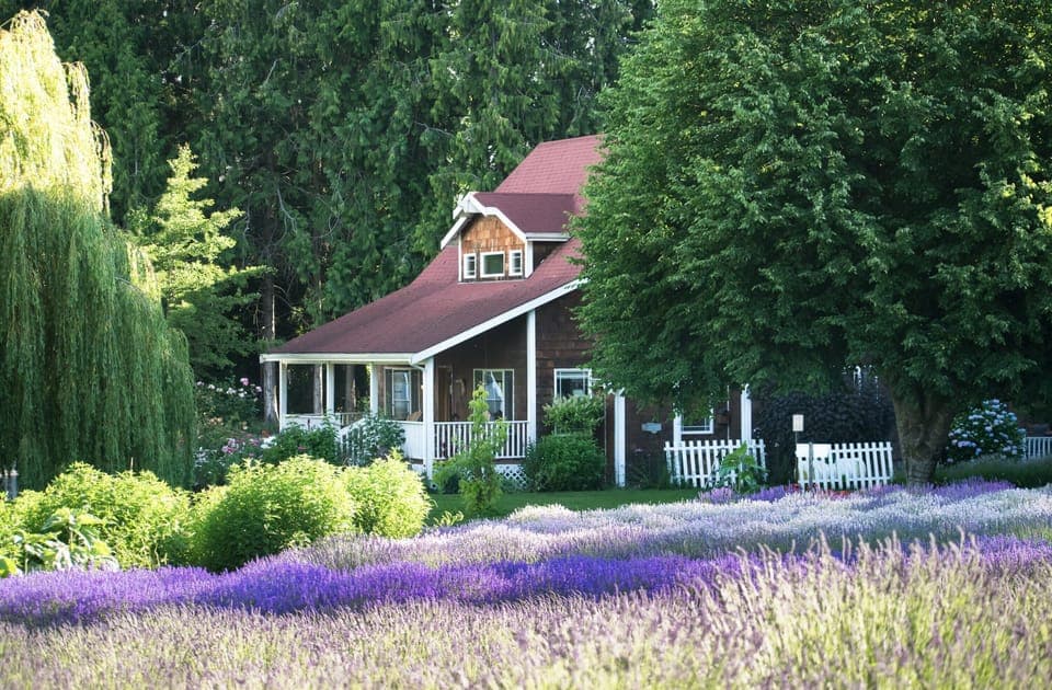 Welcome to our farmhouse!