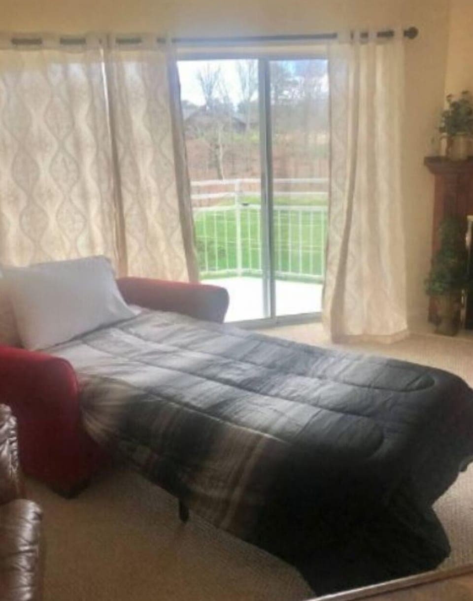 Twin sofa bed for more guests