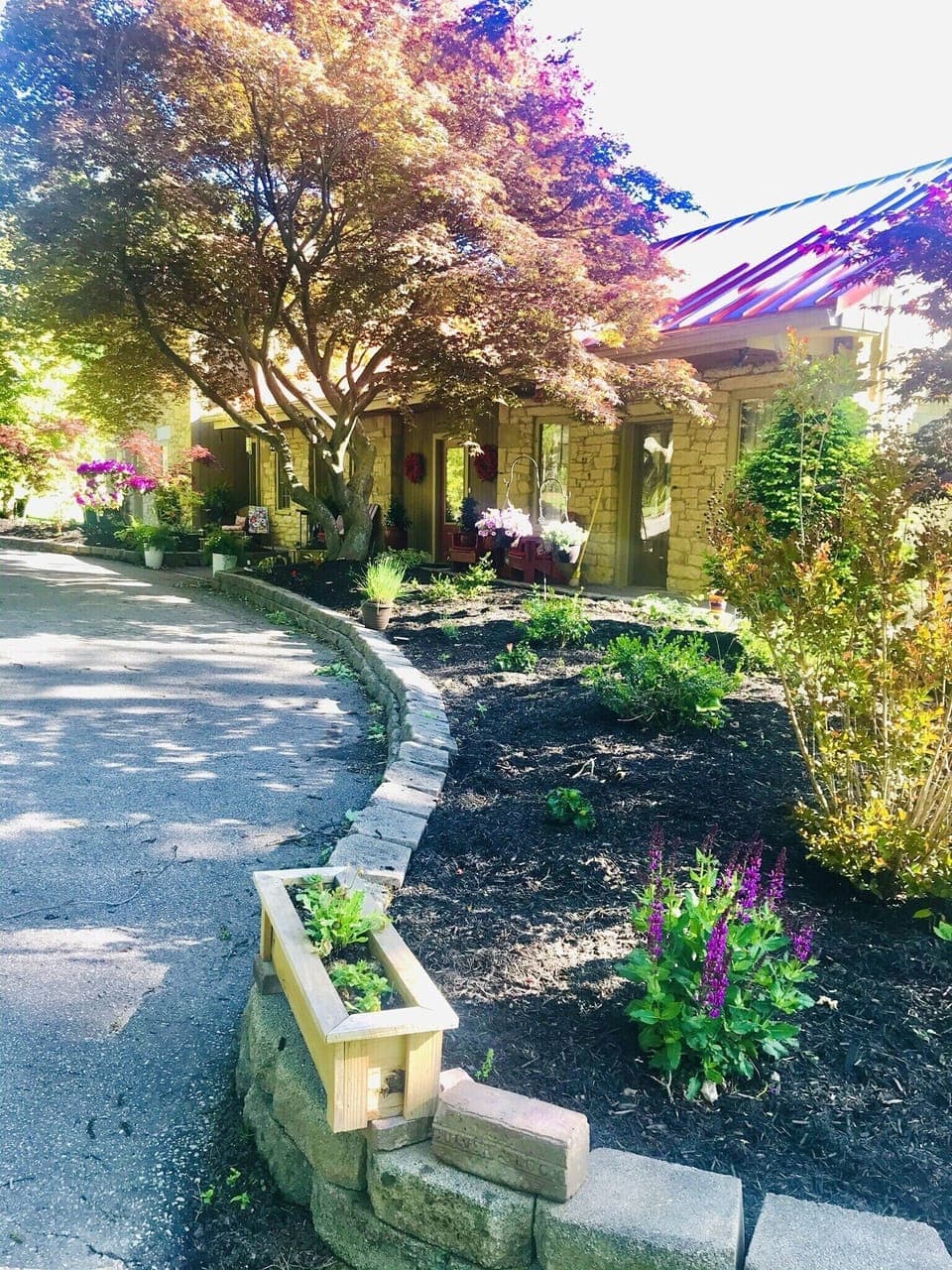 
Flowers are always so beautiful each season.