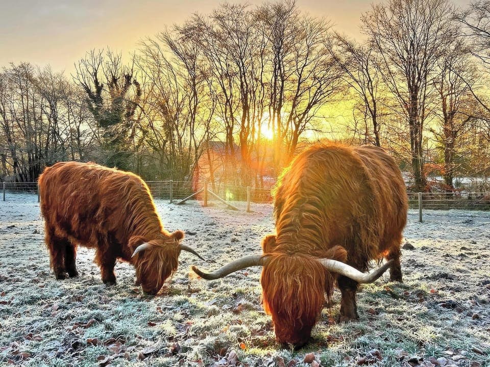 Surrounding area | Dwrgi - Glanyrafon Lodges, Cwrt Newydd, near Llandysul