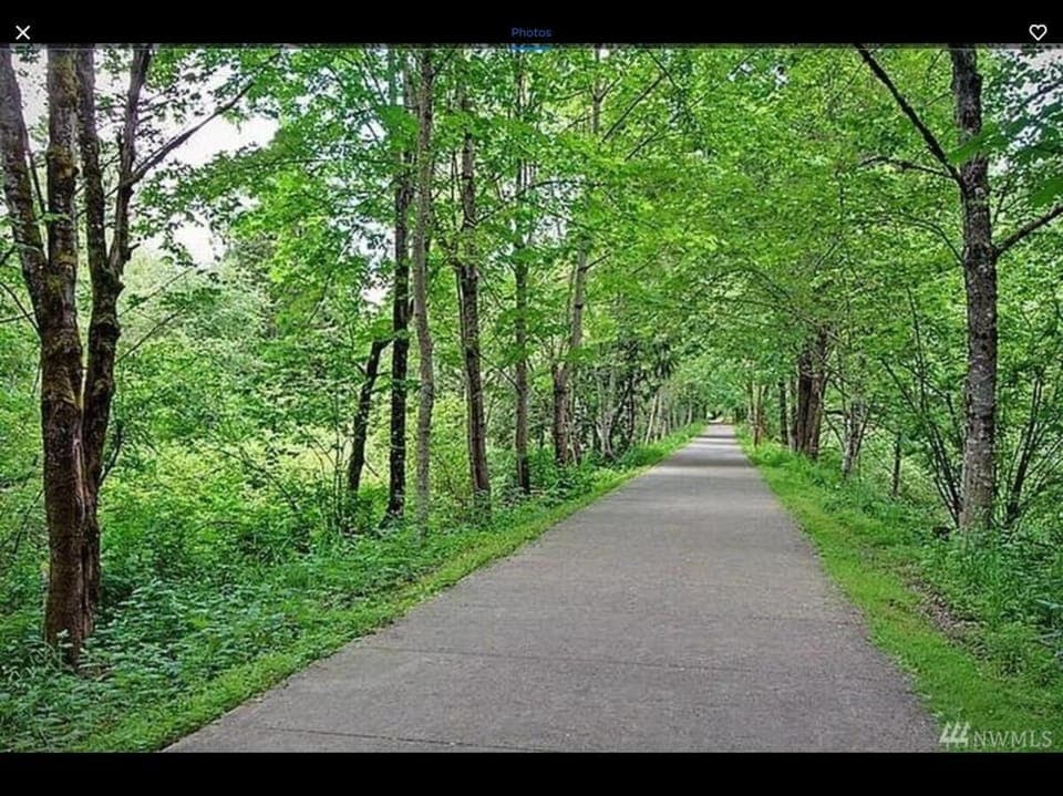 Trails accessible from parking area