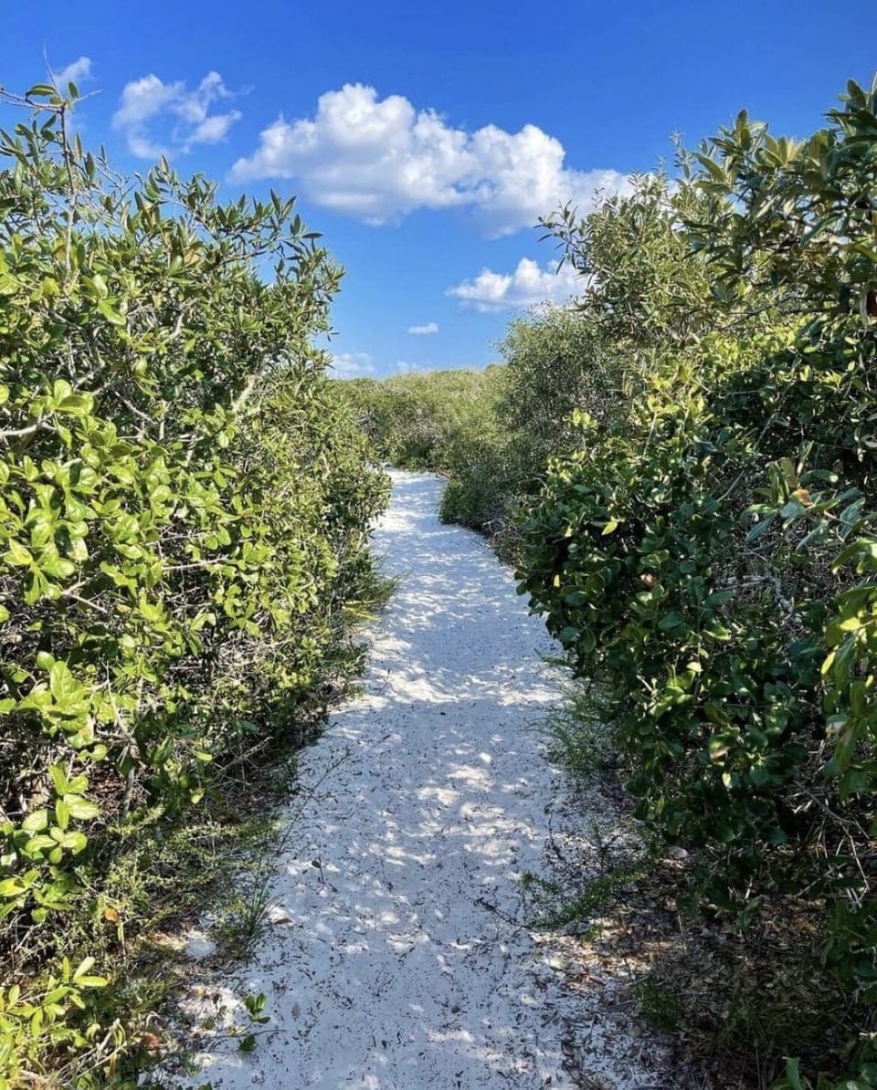 The most gorgeous bike rides are all around, and we have bikes included!