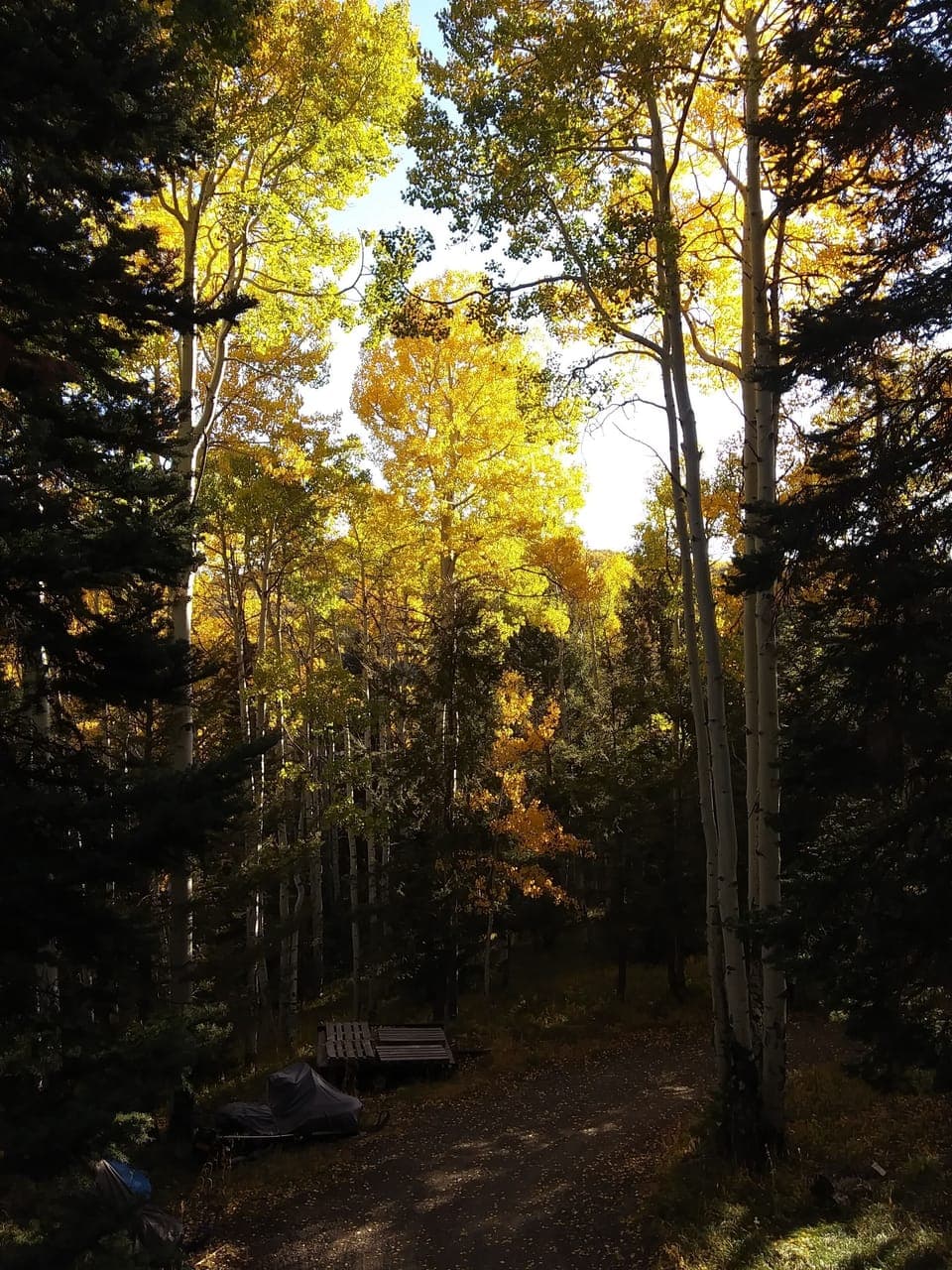 View from Deck