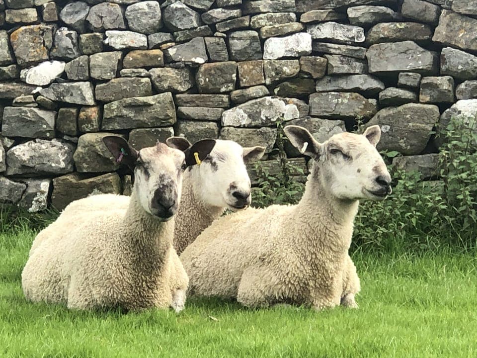  National park walks from the doorstep 