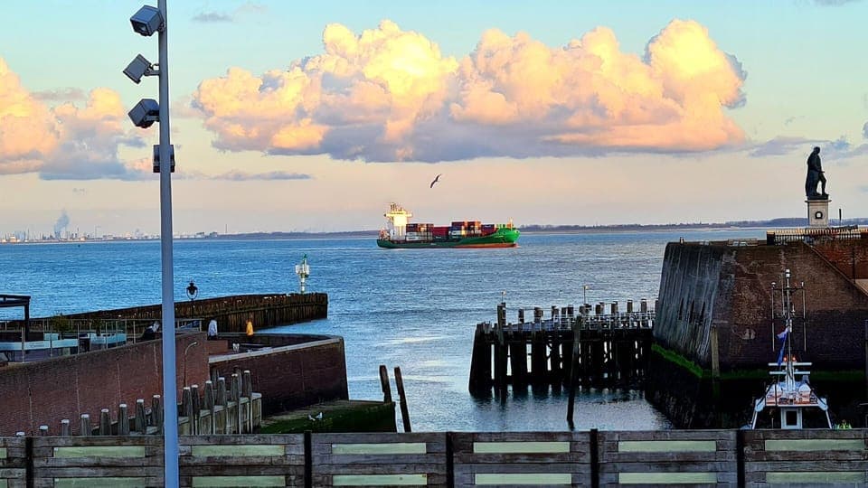 View from the window