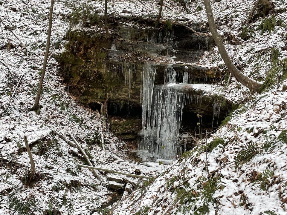 Another picture from private trail