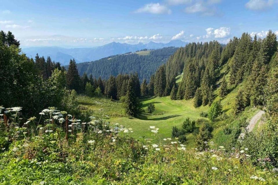 Surroundings [summer] (1-5 km)