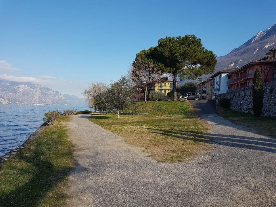 Area that directly surrounds the property