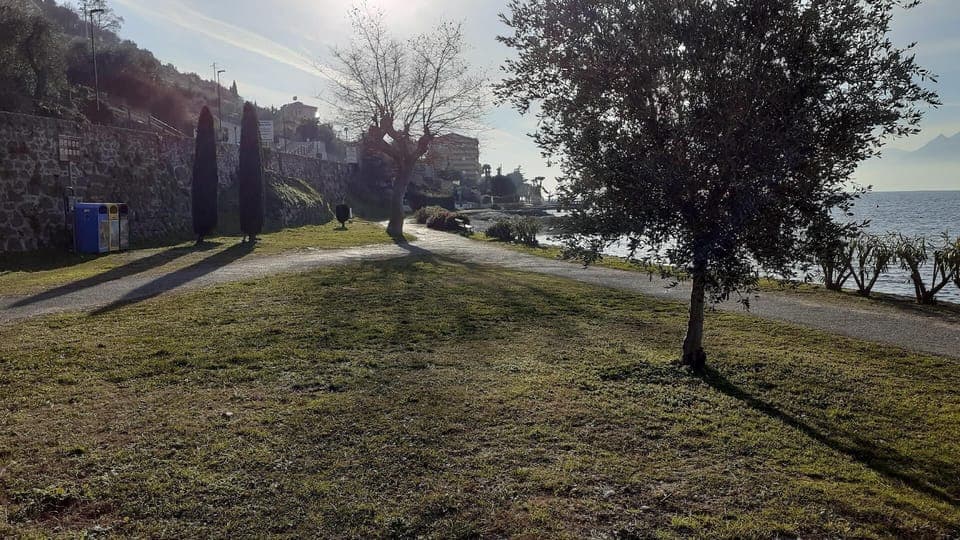 Area that directly surrounds the property