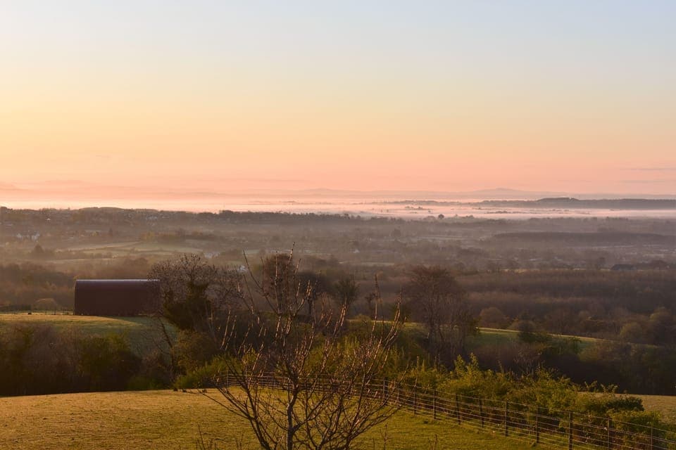 Wake up to the silence