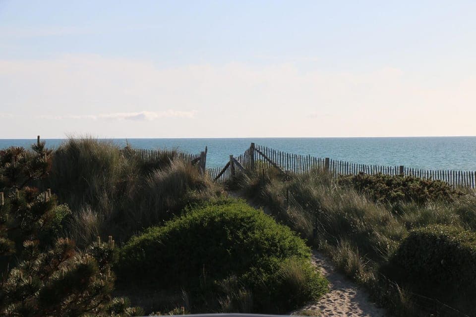 View from the window