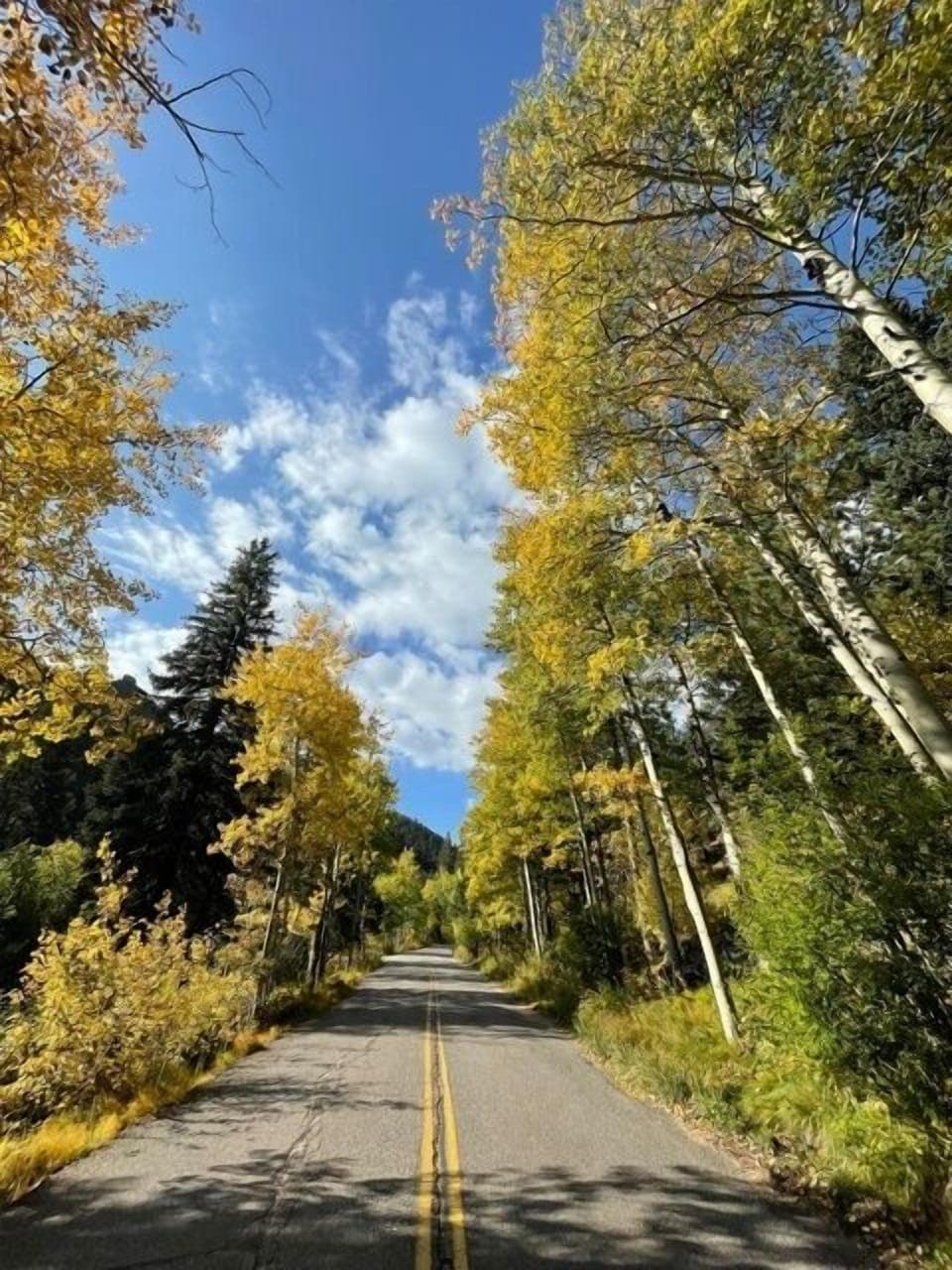 Fall Colors on Riverside Drive