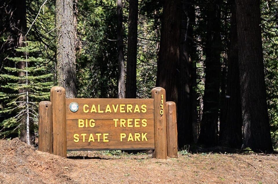 Be sure to visit Big Trees State Park